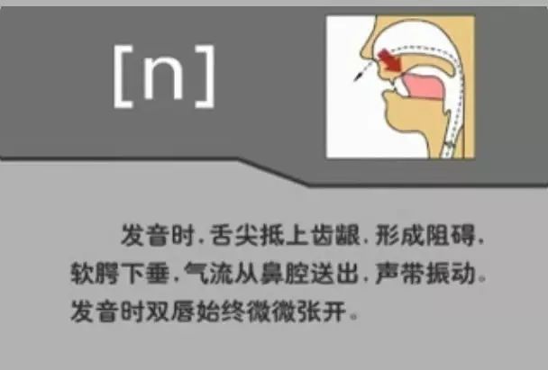 英语音标发音表48个音标正确读法,英语干货48个音标快速记忆法下
