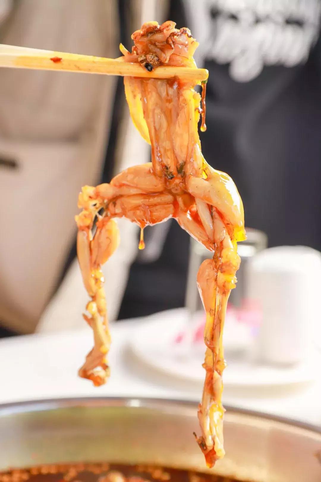 全国最火的美蛙鱼头,超火爆美蛙鱼头