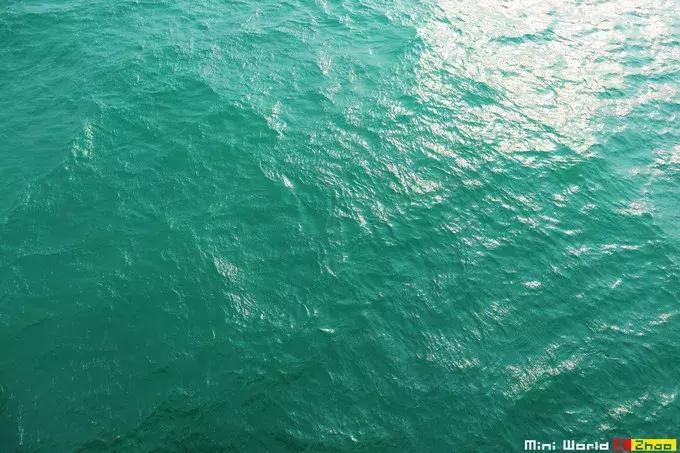 藏在日照的海边，竟然有一处世外桃源，赶海，捕鱼，温馨民宿……