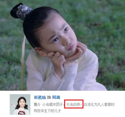 三生三世十里桃花阿离白滚滚真身,三生三世阿离和滚滚是什么关系