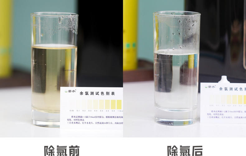 除氯电水壶真能除氯吗,除氟电水壶真的有用吗