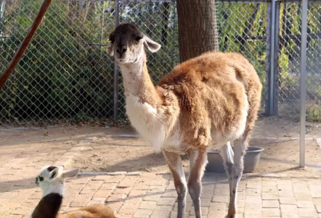 5.17遇见Ta在一起|这里有个不一样的脱单机会，速来~