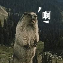 知否后面没有墨兰的剧情了吗,非常舒适的剧情