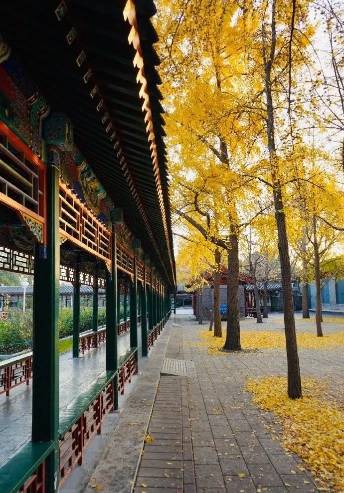 随笔在风华正茂的日子里迷途知返,随笔每一个孩子都值得期待