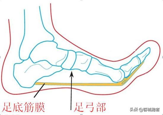 跑步初学者必须了解的5个真相,跑步常识与认知