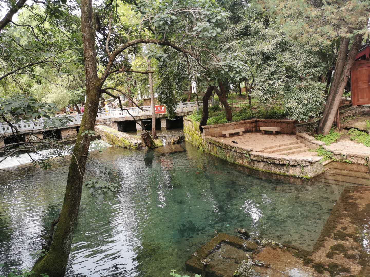 宅家又如何？翻开相册！浙大学子带你进行回忆式线上旅游！