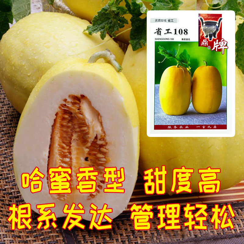 耐运输又好吃脆甜的甜瓜品种,甜瓜种植连续下雨天会不会裂瓜