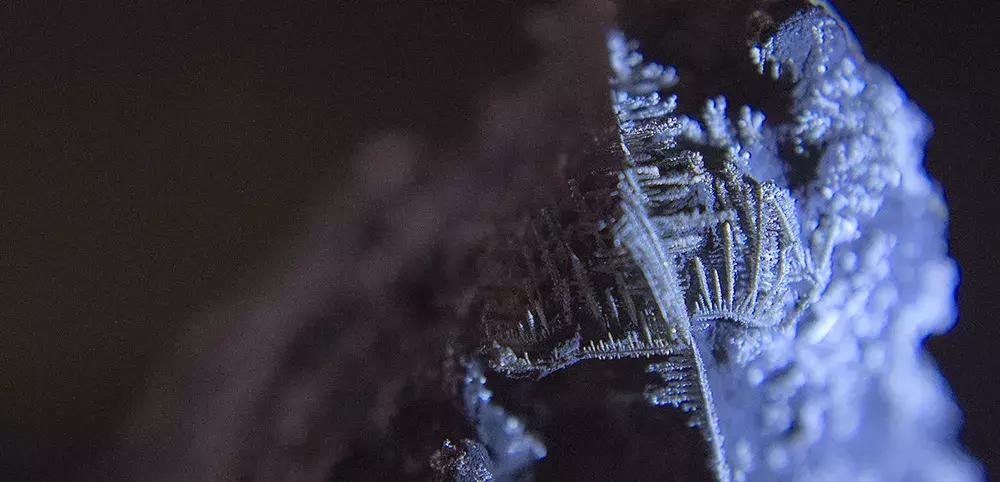 太强了！她笔下的「神秘画风」真是惊艳！