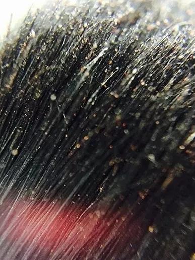 很脏的化妆刷清洁,不洗马桶用什么化妆刷好