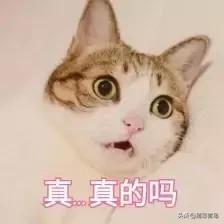 青岛发布重要通知！还没买房的恭喜了！