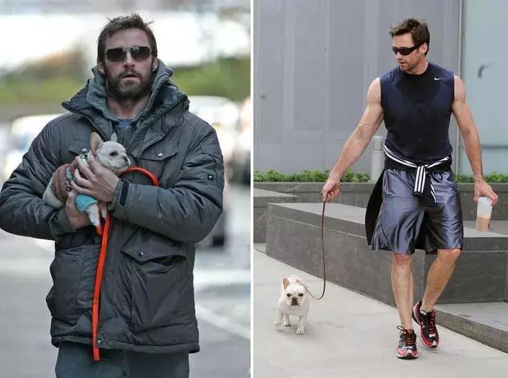 美国家庭都养什么犬,美国人喜欢养什么猛犬