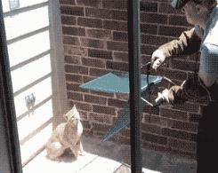 常见的20种网赚骗术揭秘,韭菜有效套路