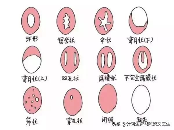 年轻女性要知道自己身体的六件事,女性应该知道的身体常识