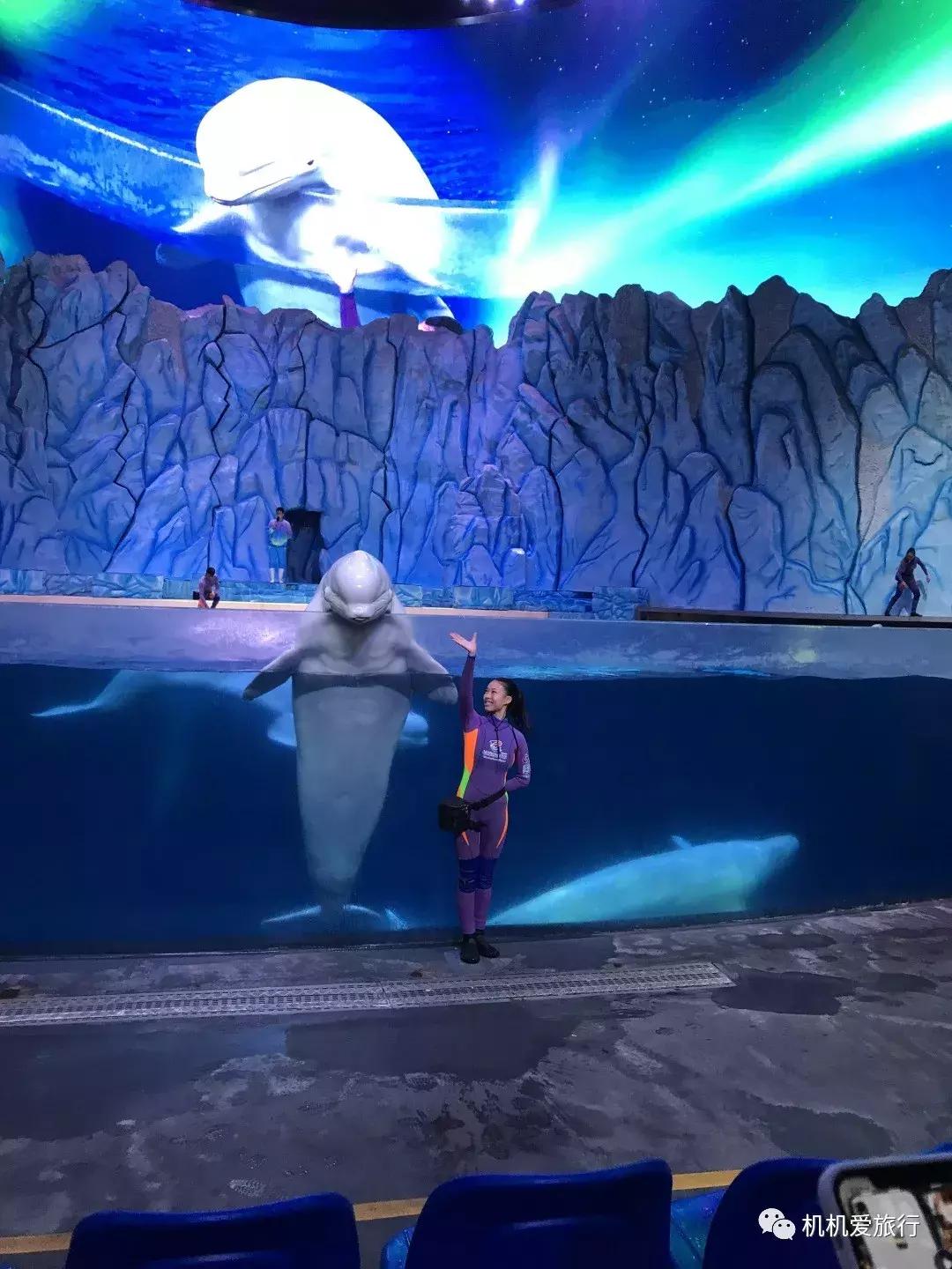 珠海和广州长隆旅游攻略,珠海长隆乐园游玩攻略