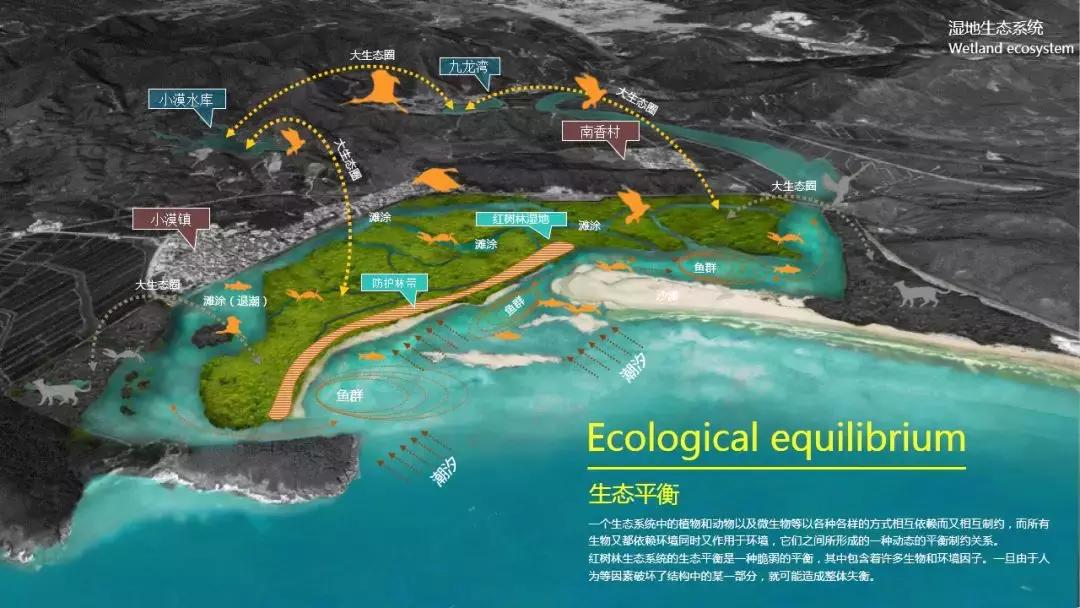 深圳经济特区的生日,深圳经济特区生日快乐