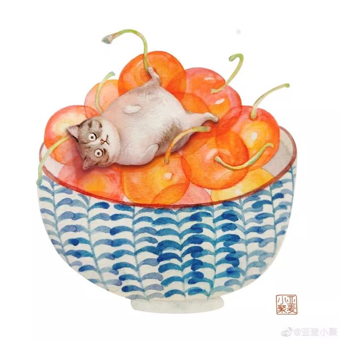 可爱的橘猫插画,一组可爱的治愈系猫咪插画