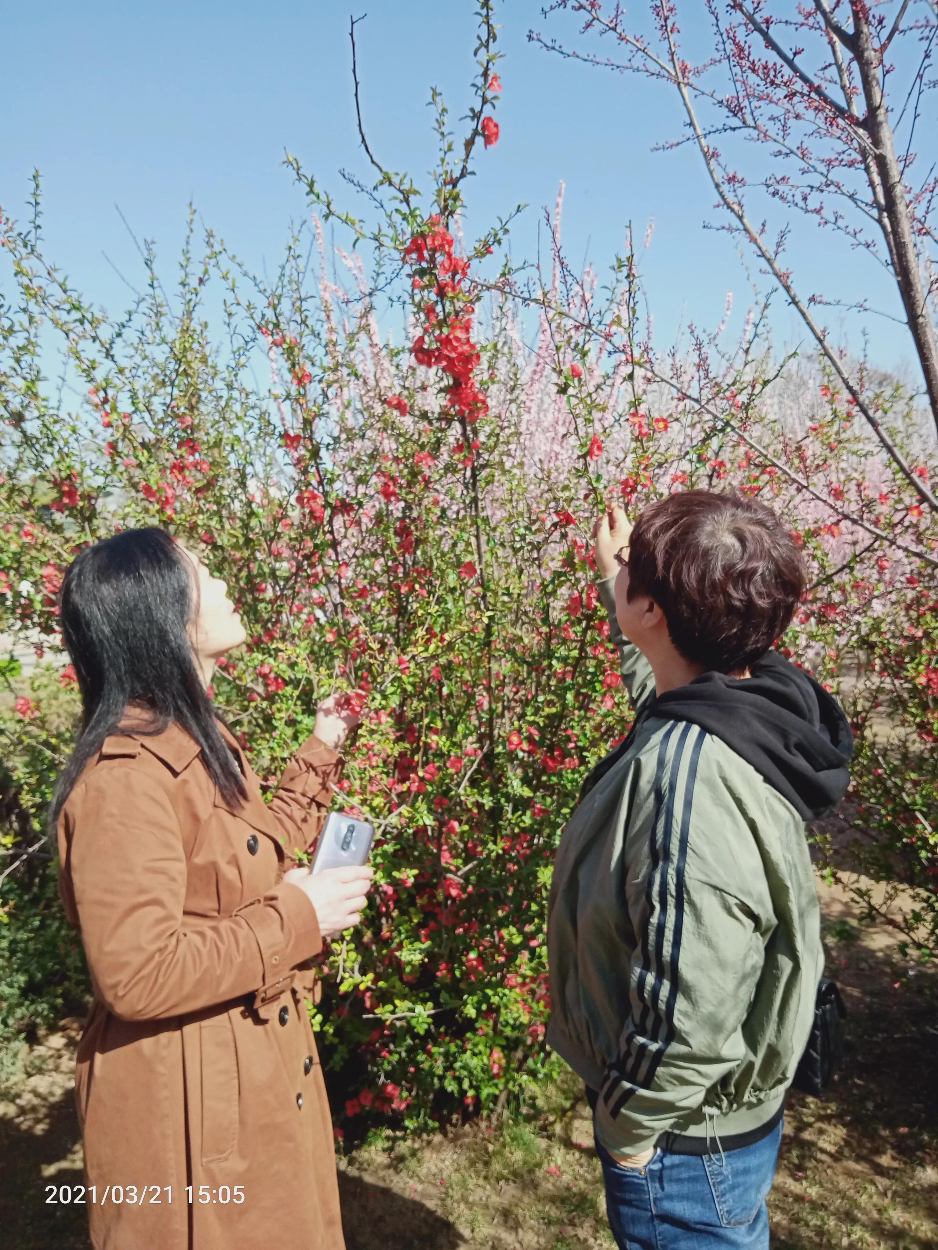 沙河美丽,沙河的天气