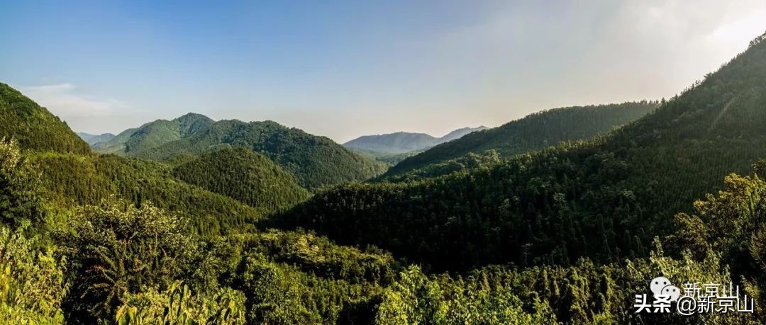 京山凉爽的旅游景点有哪些,生态京山景点