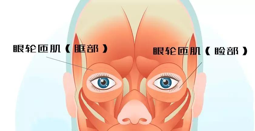 17个简单补救措施轻松摆脱眼袋,怎样预防和祛眼袋