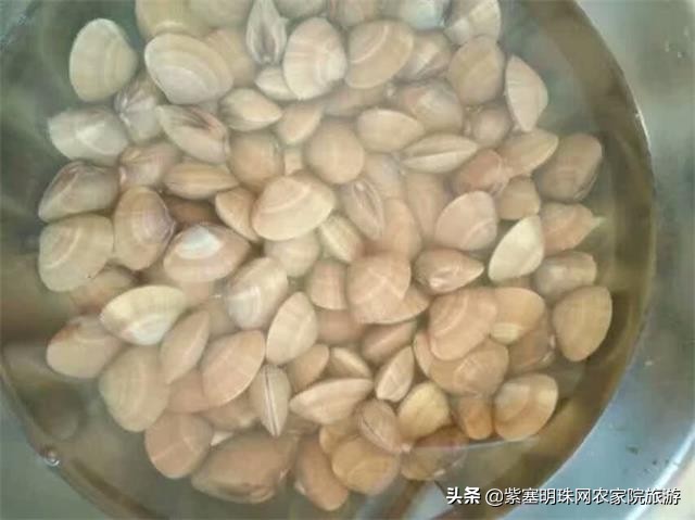 绉︾殗宀涙梾娓稿彲浠ュ嚭娴锋崟楸肩殑鍦版柟 (绉︾殗宀涚墽娴疯繙鑸啘瀹堕櫌)