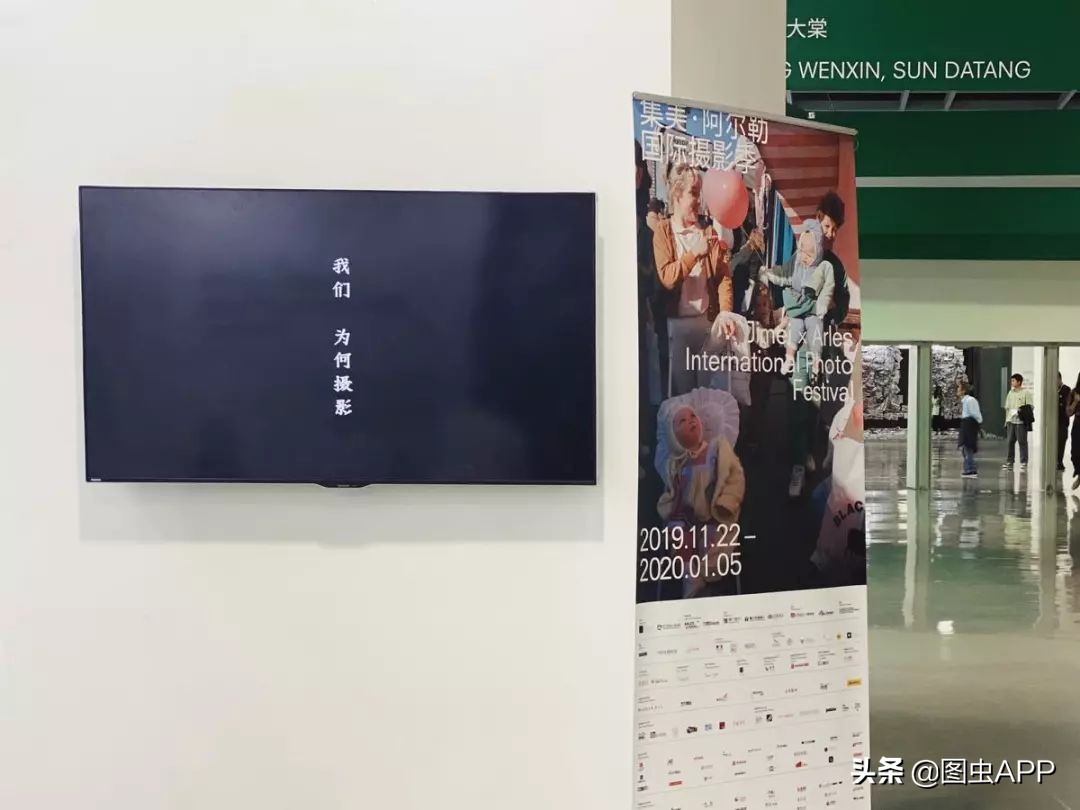 图虫opensealab摄影,图虫看动物世界系列