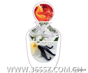 我爱菲拉格慕,我爱菲拉格慕品牌香水