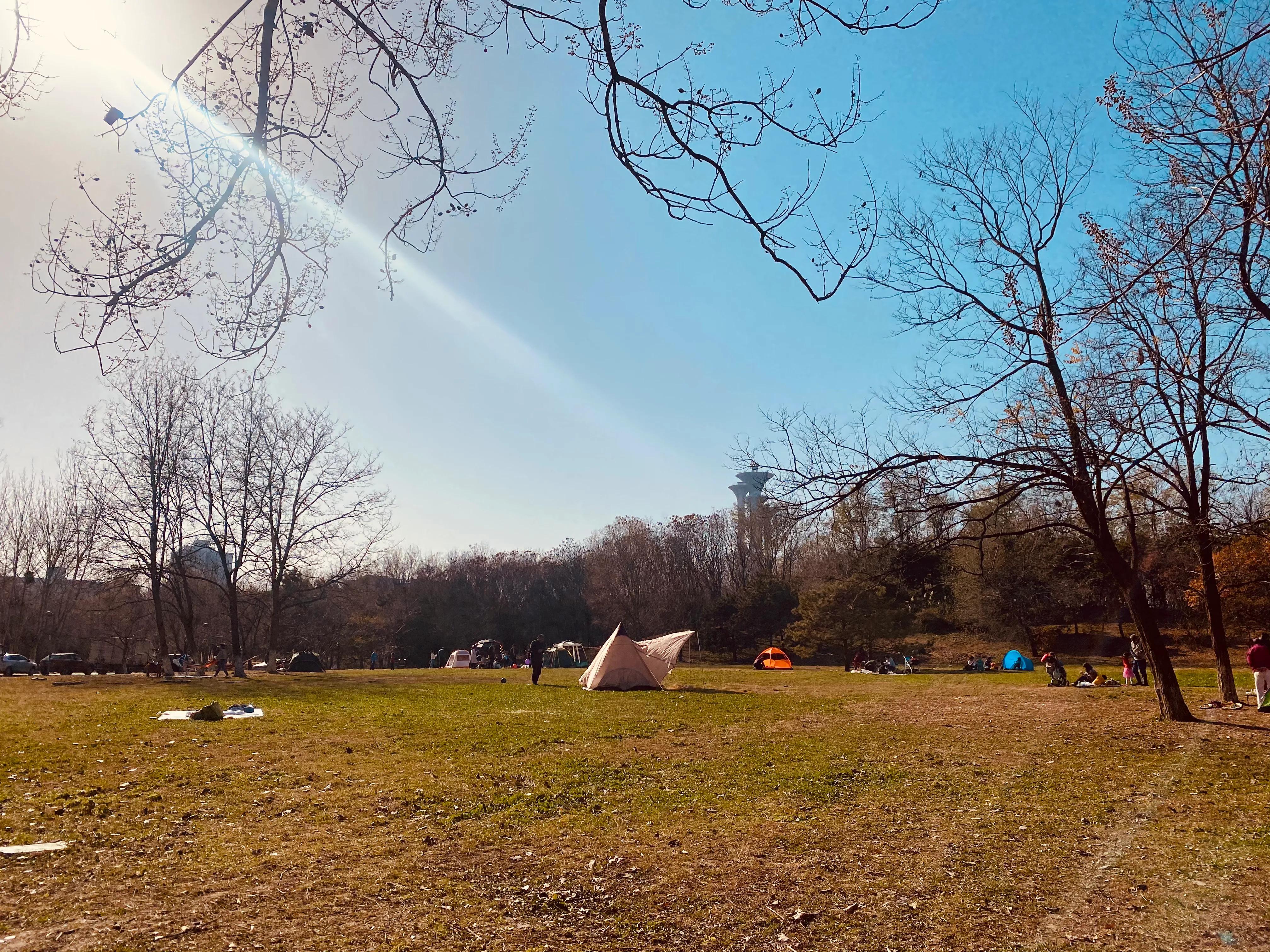 奥森冬天带娃游玩攻略,奥森公园亲子游攻略