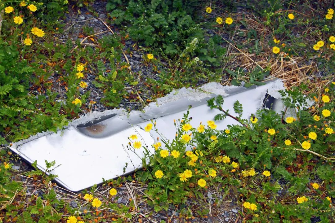 追逐公交的人,学生追逐公交车事故