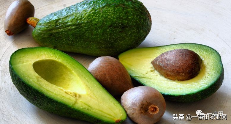 马云获准供货,怎么给马云发消息