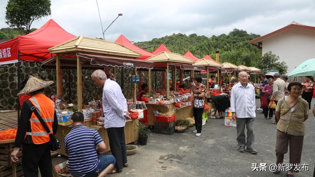 山水园间,心系洋畲