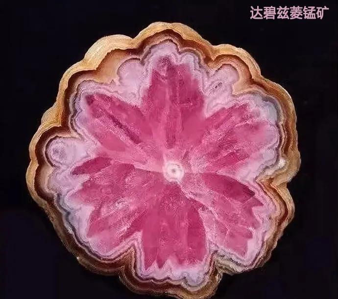 石头上有花纹的石头值多少,石头上有龙图案值钱