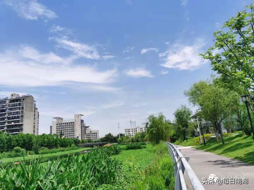 南湖的生态公园,南湖公园在未来哪里
