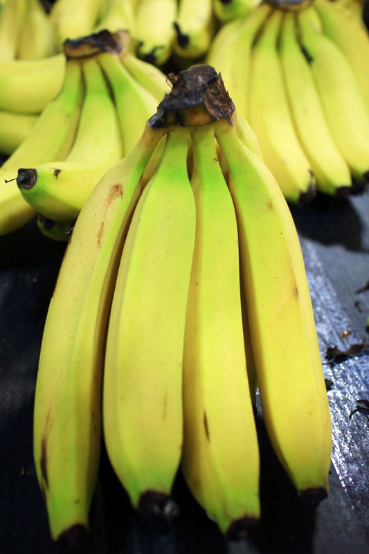 泡药水的荔枝能吃么,荔枝被水泡过还能不能吃