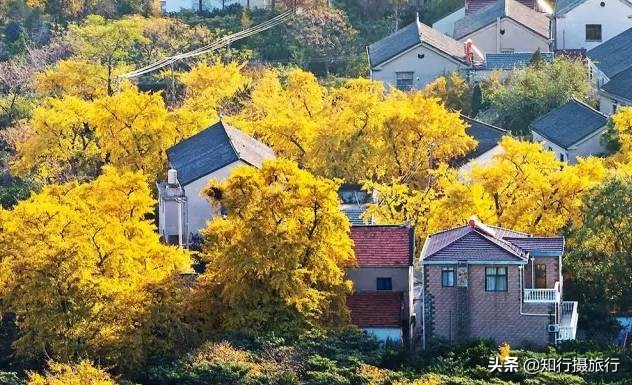 苏州太湖西山岛江浙沪最强攻略,太湖西山岛旅游完整攻略