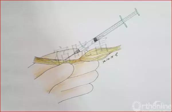 手绘科普视频,手绘类科普