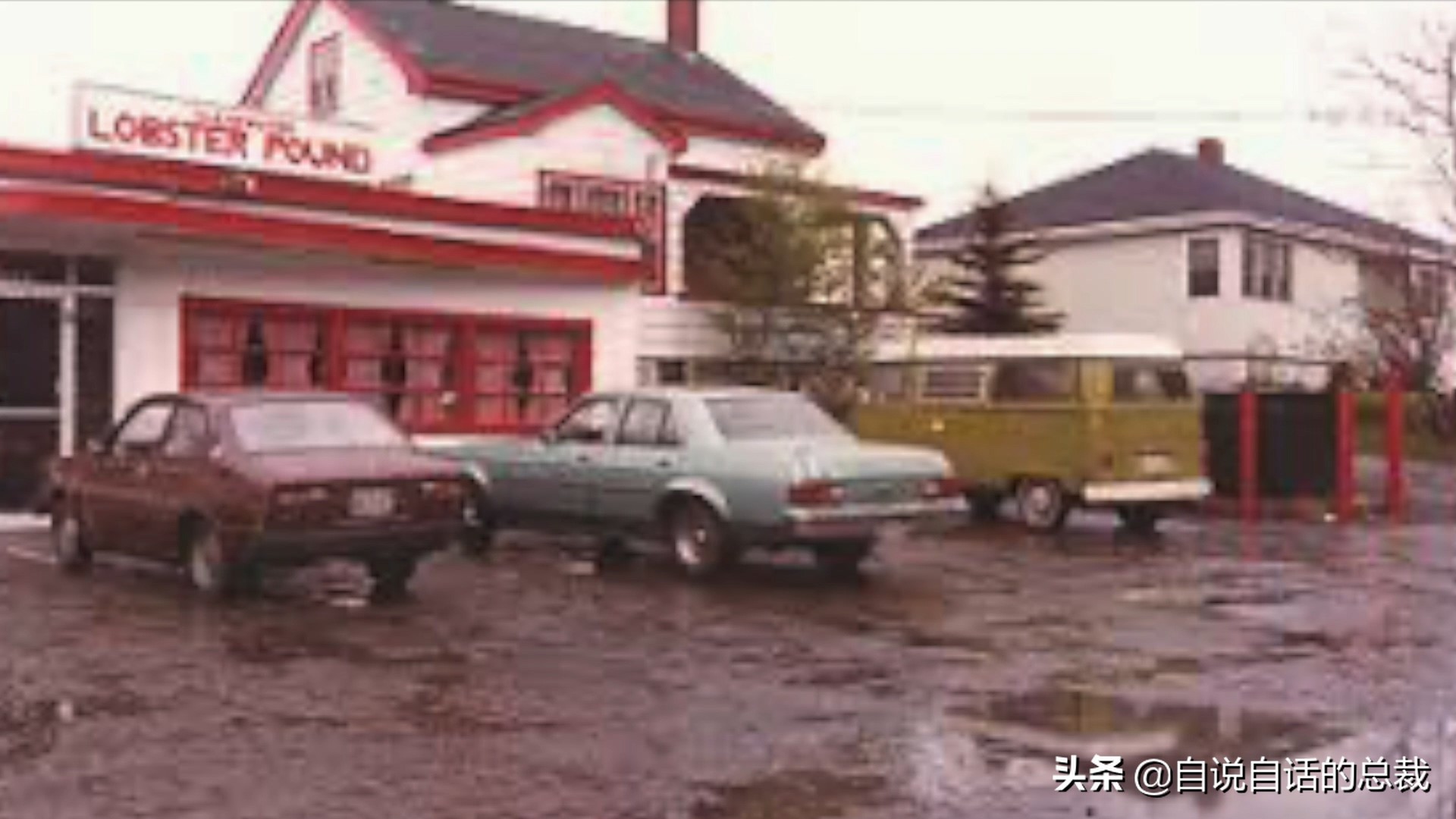 泥蚶和花甲蛤蜊有什么区别,贝螺蚌蛤蚬等怎么区分