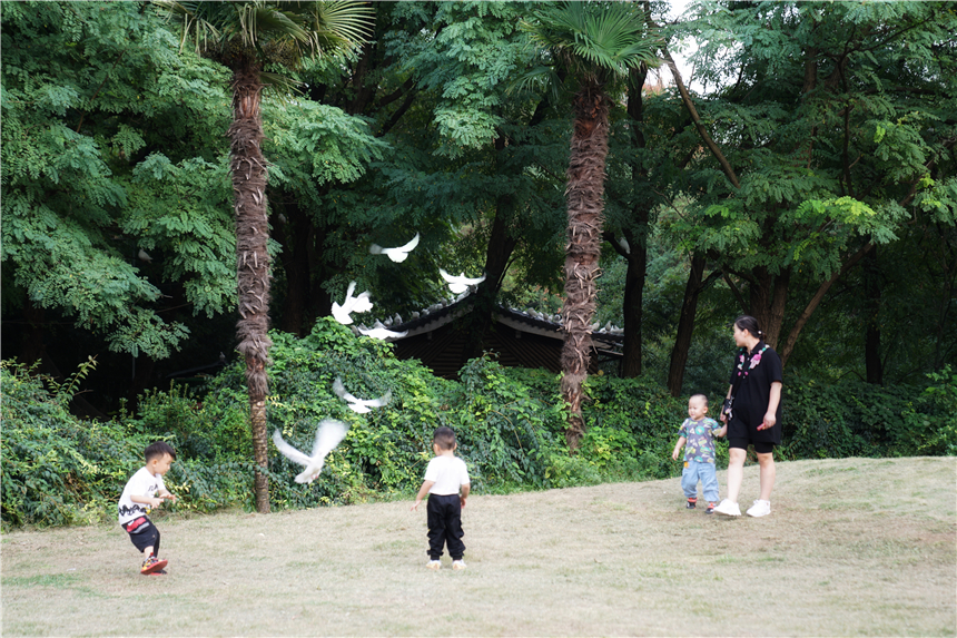 淮北乾隆湖有什么好玩的,淮北千龙湖公园有什么好的