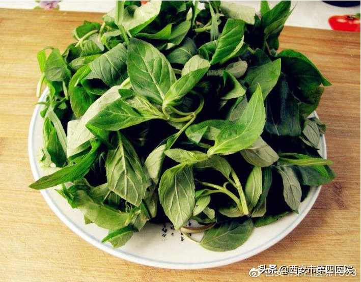 夏季薄荷的妙用,夏天薄荷的食用方法