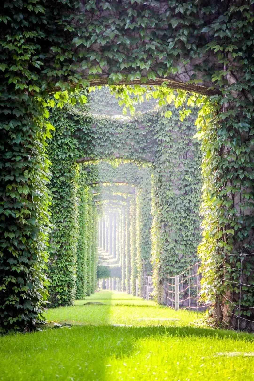 成都的干净程度,成都的街道名为什么好听