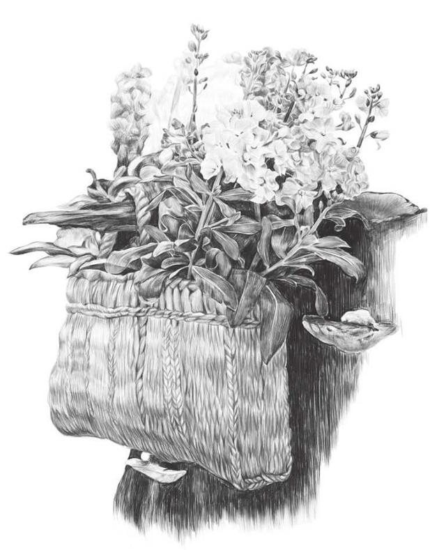 素描零基础教学入门教程,素描零基础教程3集