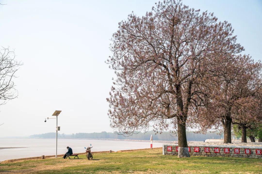 4月的正确开启方式,四月怎么开荷花