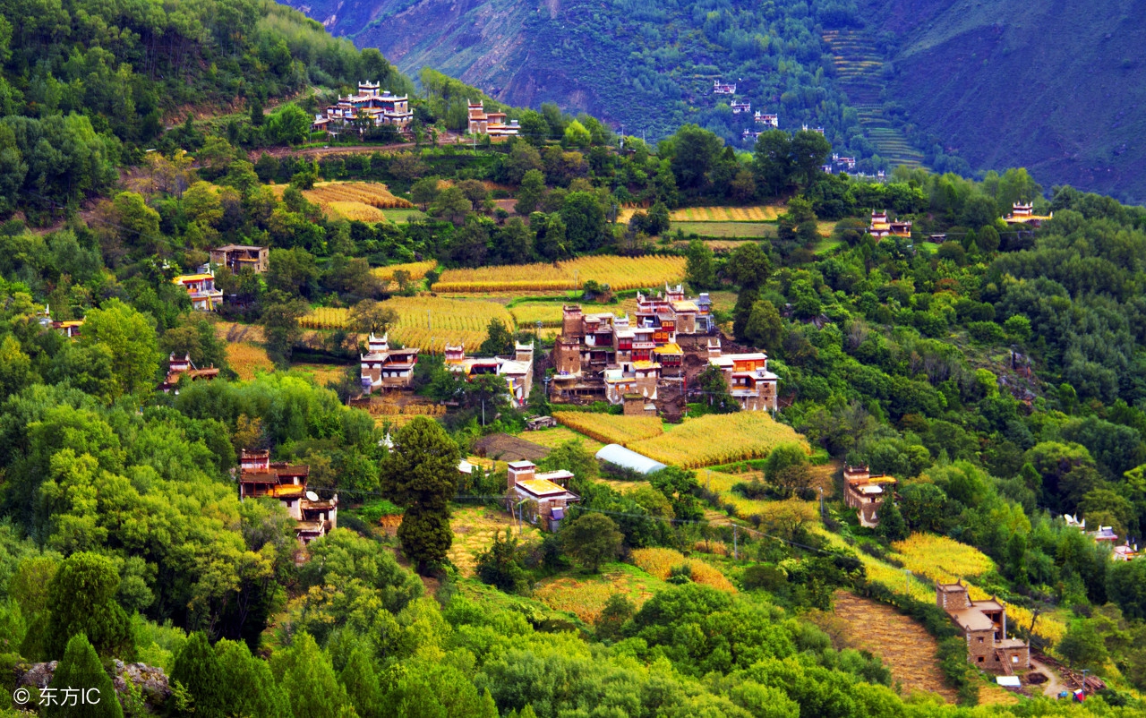 农民返乡创业方法和步骤,现在回乡创业有什么好政策