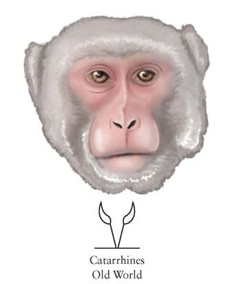 生物大揭秘视频,生物大揭秘