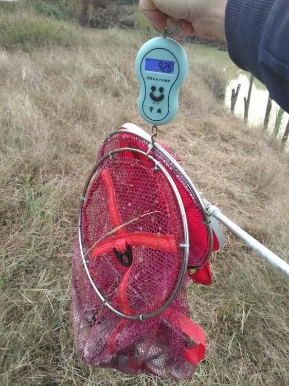 本汀神鹤和太极宗师,本汀神鹤鲫鱼竿