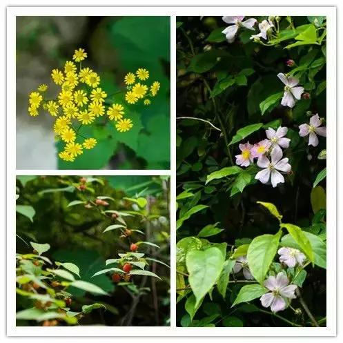 遗世独立的隐居酒店，大自然的馈赠——宁海安岚酒店