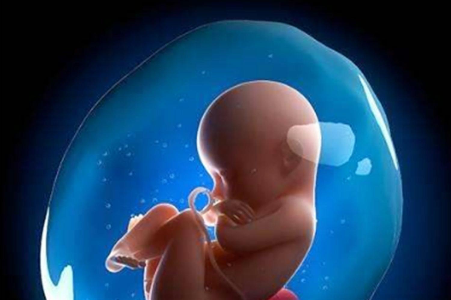 怀孕了羊水是有什么用的,为什么羊水称作羊水