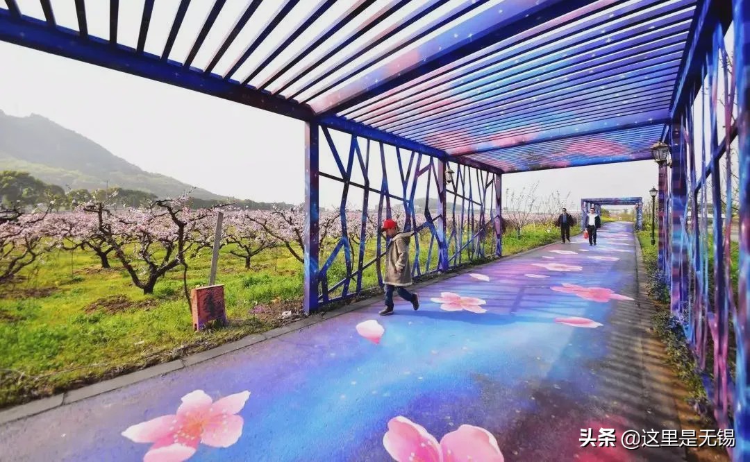 无锡网红打卡地彩虹跑道,无锡古运河健身步道