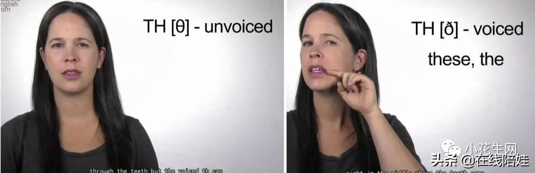 干货满满的英语语法课程,纯正美语发音及口语教程图片