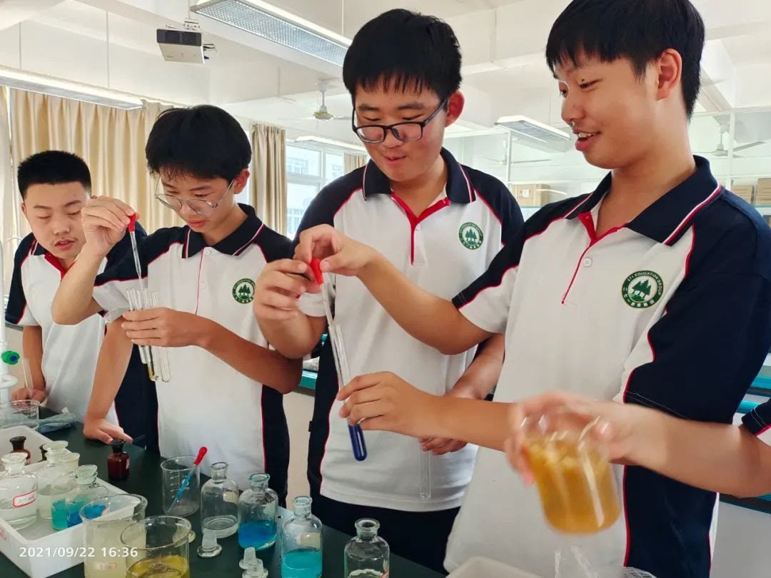 271教育课堂,271教育四节课程是啥