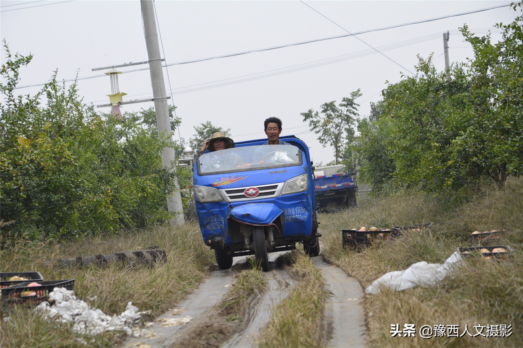 河南小伙京漂6年，回家大数据管理石榴园，决心对标“褚橙”